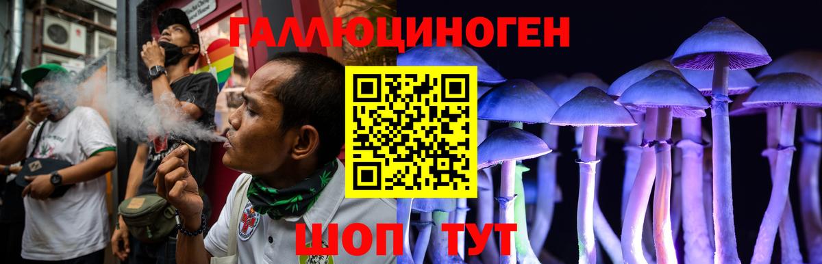 Псилоцибиновые грибы Psilocybe  Вход с VPN  Дюртюли  Псилоцибиновые грибы прущие грибы 